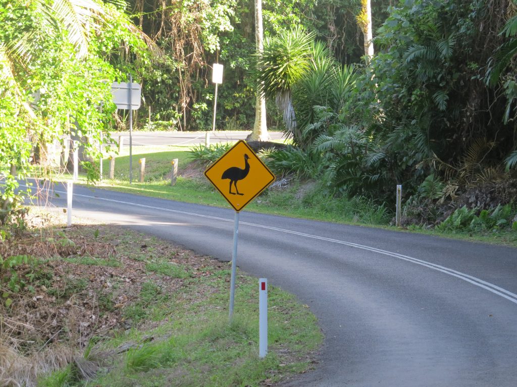 ヒクイドリ注意の道路標識