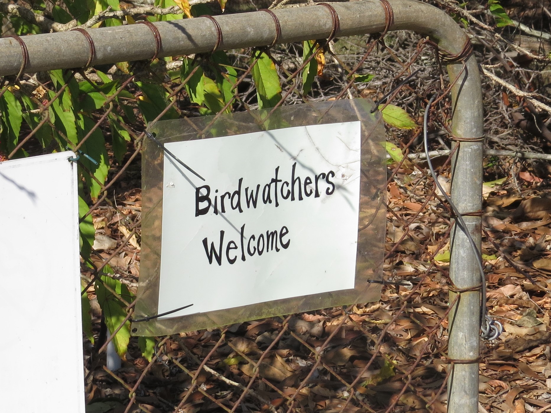 birdwatchers welcome